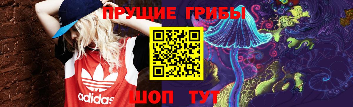 Томск  Галлюциногенные грибы мухоморы  Вход с VPN 